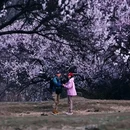 林芝旅游 缩略图 5