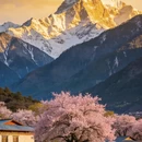 林芝旅游 缩略图 2