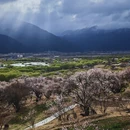 林芝旅游 缩略图 4