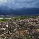 林芝旅游 缩略图 3