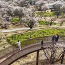 林芝旅游 缩略图 7