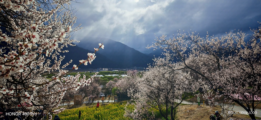 林芝旅游