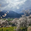 林芝旅游 缩略图 1