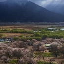 林芝旅游 缩略图 8
