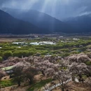 林芝旅游 缩略图 5