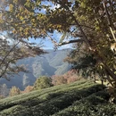 楚雄州旅游 缩略图 2