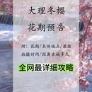 大理州旅游 缩略图 1