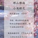 大理州旅游 缩略图 3