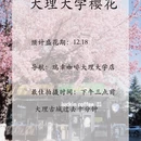 大理州旅游 缩略图 5