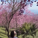 大理州旅游 缩略图 6