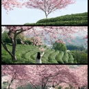 龙岩旅游 缩略图 1