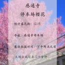 大理州旅游 缩略图 10