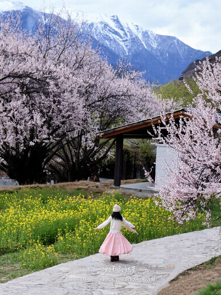 林芝旅游