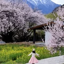 林芝旅游 缩略图 1