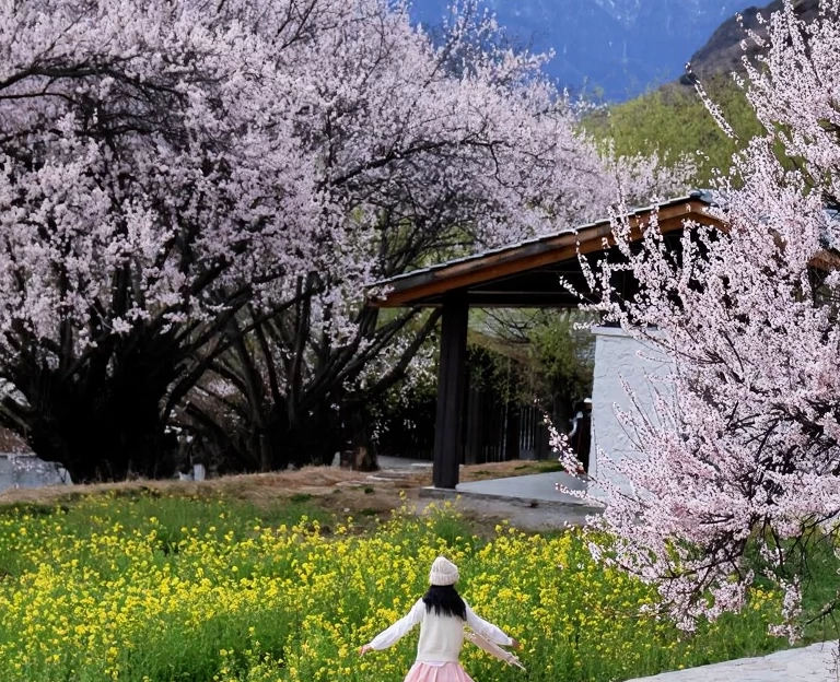 林芝旅游 1