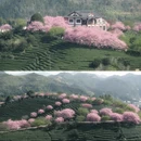 龙岩旅游 缩略图 4