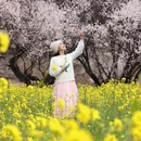 林芝旅游 缩略图 2