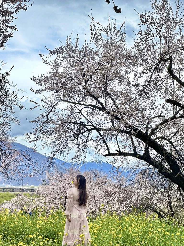 林芝旅游