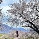 林芝旅游 缩略图 1