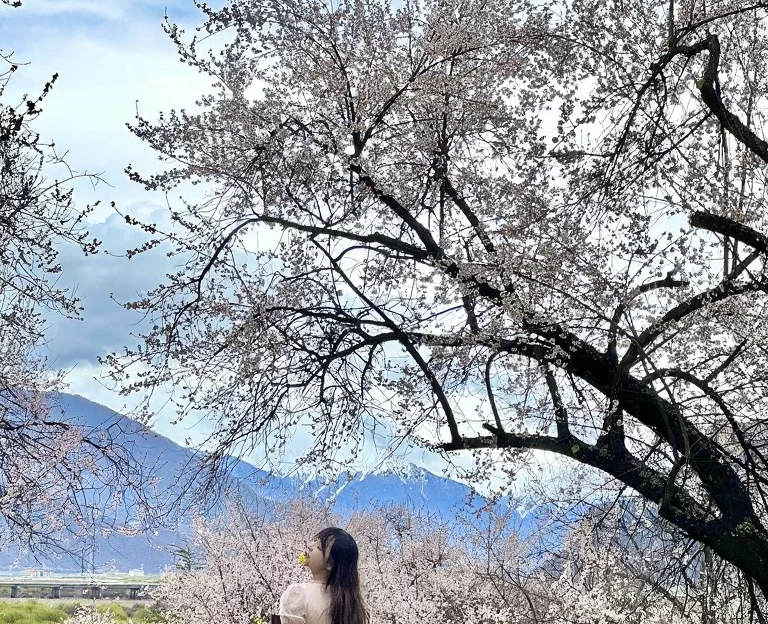 林芝旅游 1