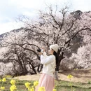 林芝旅游 缩略图 4