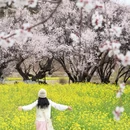 林芝旅游 缩略图 5