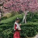 黄山旅游 缩略图 8