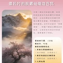 林芝旅游 缩略图 2