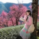 大理州旅游 缩略图 3