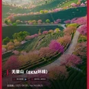 杭州旅游 缩略图 1