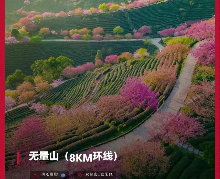 杭州旅游 1