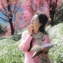 大理州旅游 缩略图 5