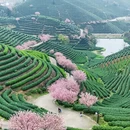 杭州旅游 缩略图 4