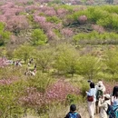 杭州旅游 缩略图 5