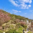杭州旅游 缩略图 3