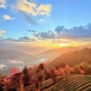 杭州旅游 缩略图 6