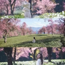 楚雄州旅游 缩略图 1