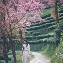 楚雄州旅游 缩略图 2