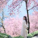 楚雄州旅游 缩略图 10