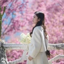 楚雄州旅游 缩略图 6