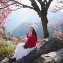楚雄州旅游 缩略图 16