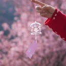 楚雄州旅游 缩略图 15