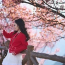 楚雄州旅游 缩略图 18