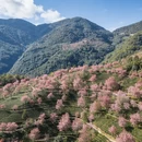 大理州旅游 缩略图 8
