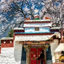 林芝旅游 缩略图 1