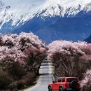 林芝旅游 缩略图 5