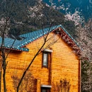 林芝旅游 缩略图 2