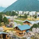 林芝旅游 缩略图 1