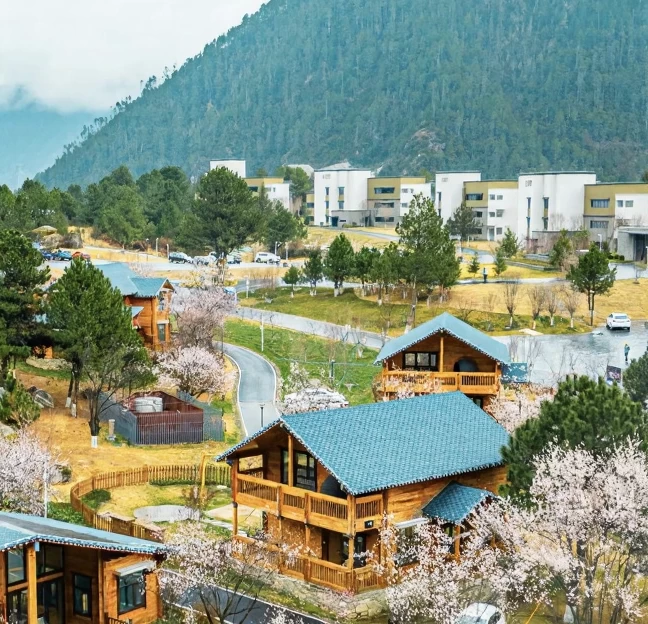 林芝旅游 1