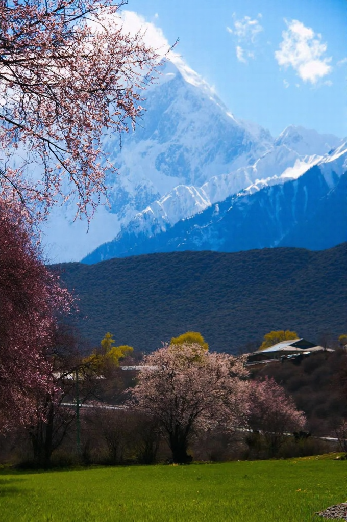林芝旅游